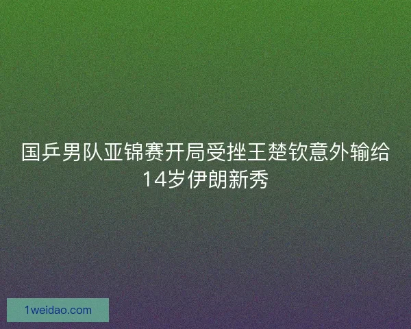 国乒男队亚锦赛开局受挫王楚钦意外输给14岁伊朗新秀